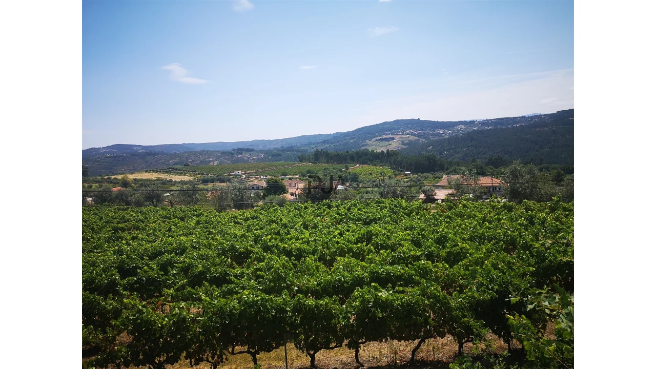 Quinta T0 para Venda em Sezures Foto 23