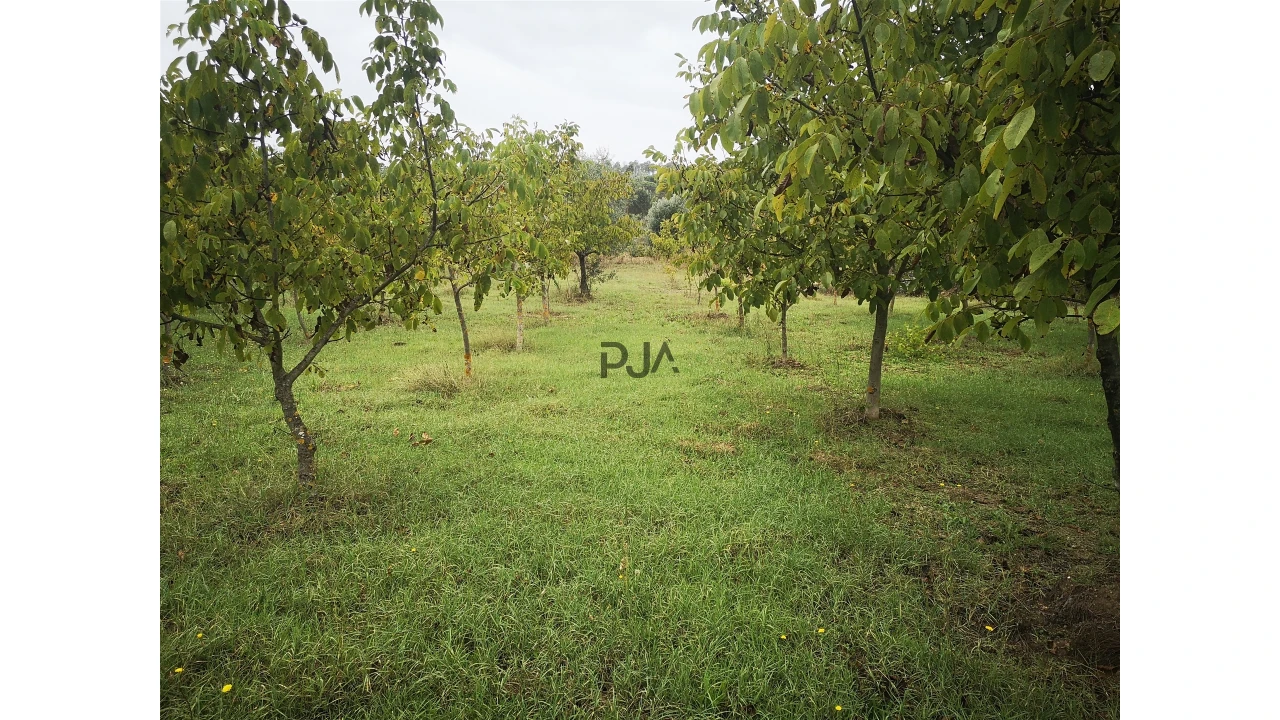 Quinta T0 para Venda em Sezures Foto 41