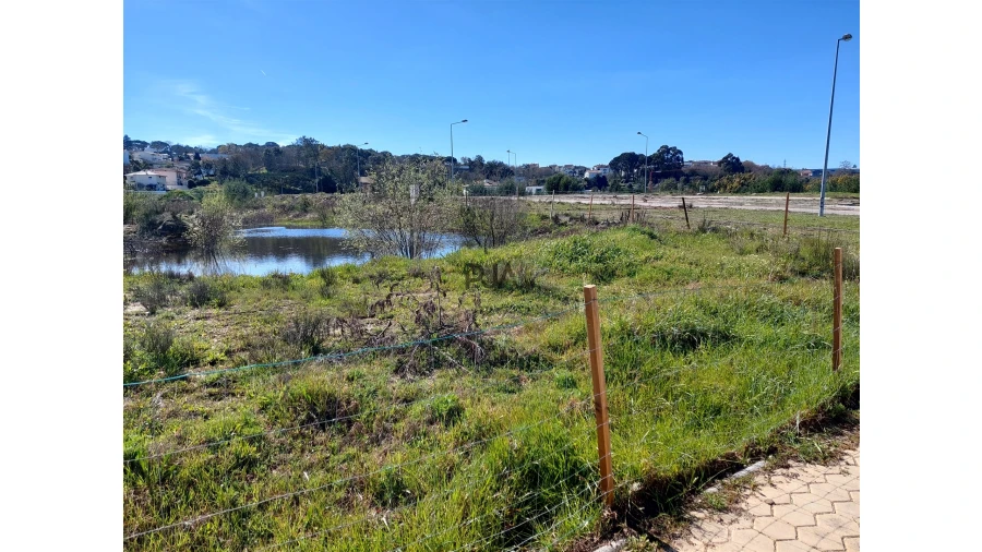 Terreno para Venda em Mangualde, Mesquitela e Cunha Alta Foto 4