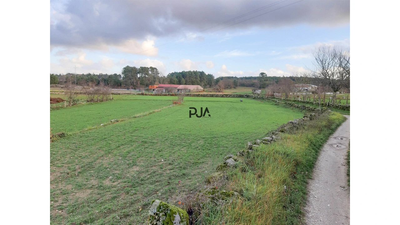 Terreno para Venda em Algodres Foto 1