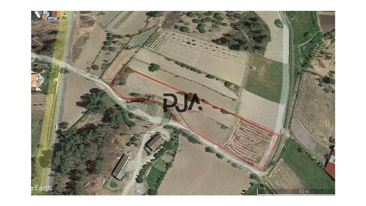 Terreno para Venda em Algodres Foto 6