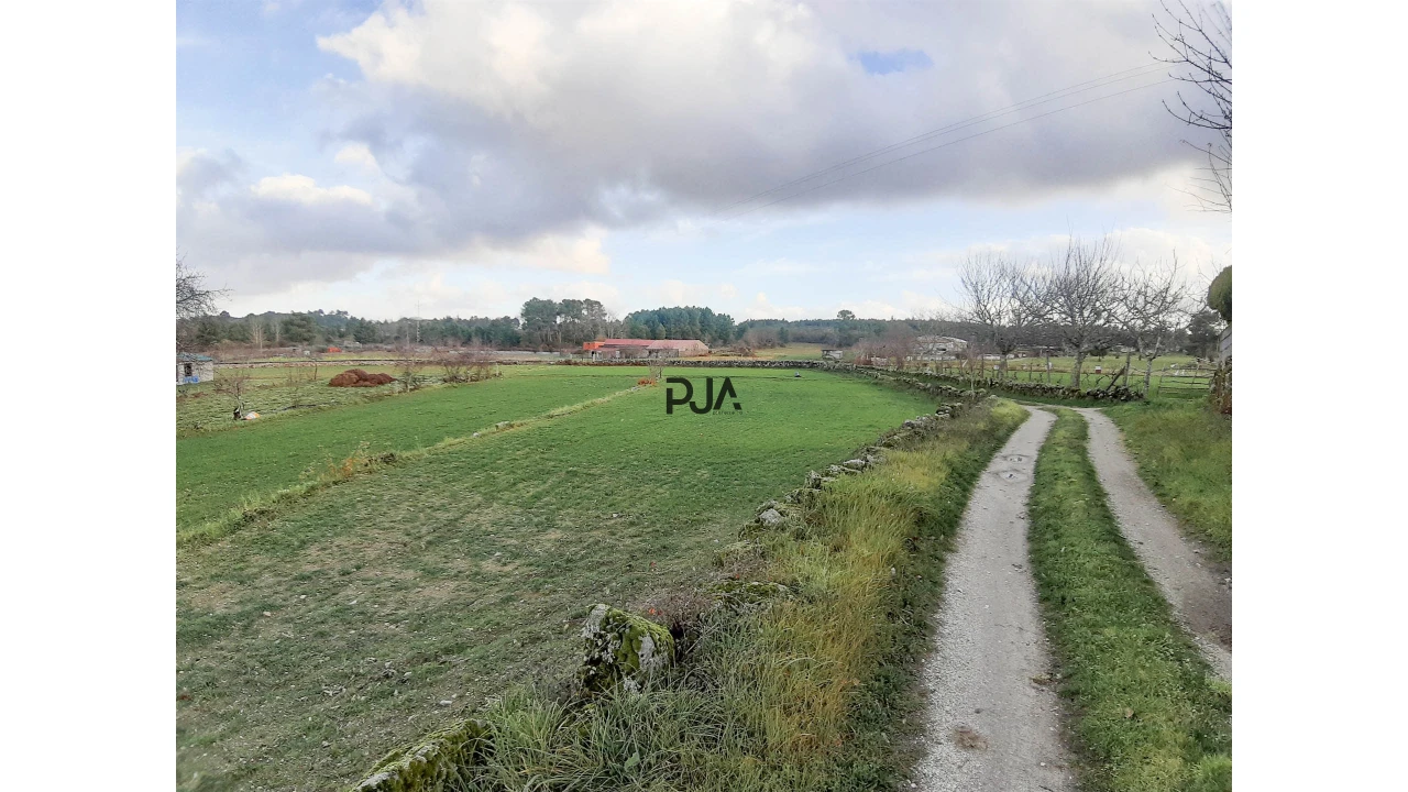 Terreno para Venda em Algodres Foto 2