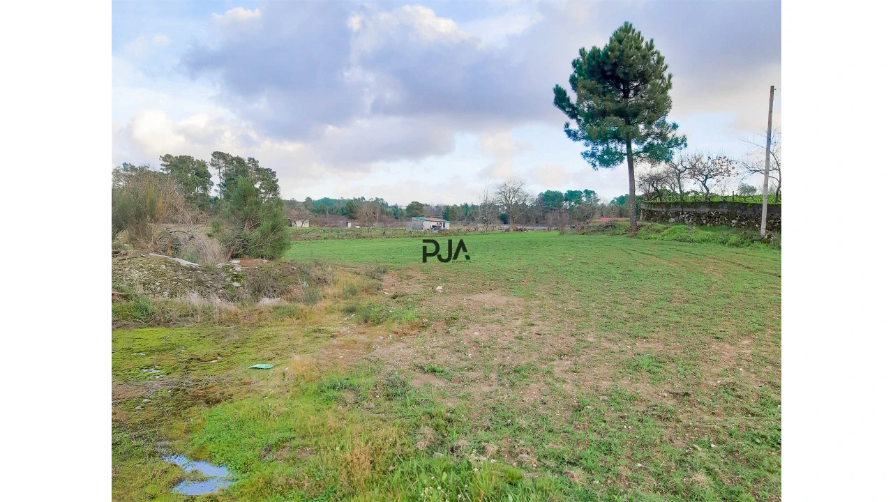 Terreno para Venda em Algodres Foto 4