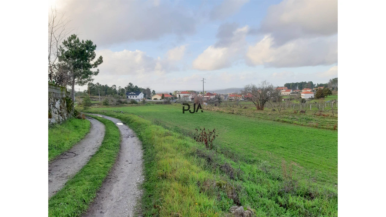 Terreno para Venda em Algodres Foto 5