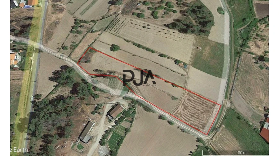 Terreno para Venda em Algodres Foto 6