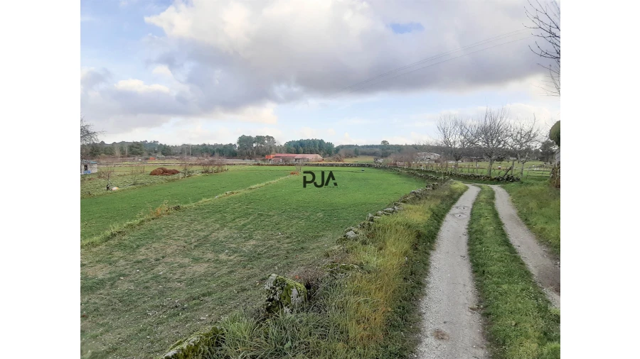 Terreno para Venda em Algodres Foto 2