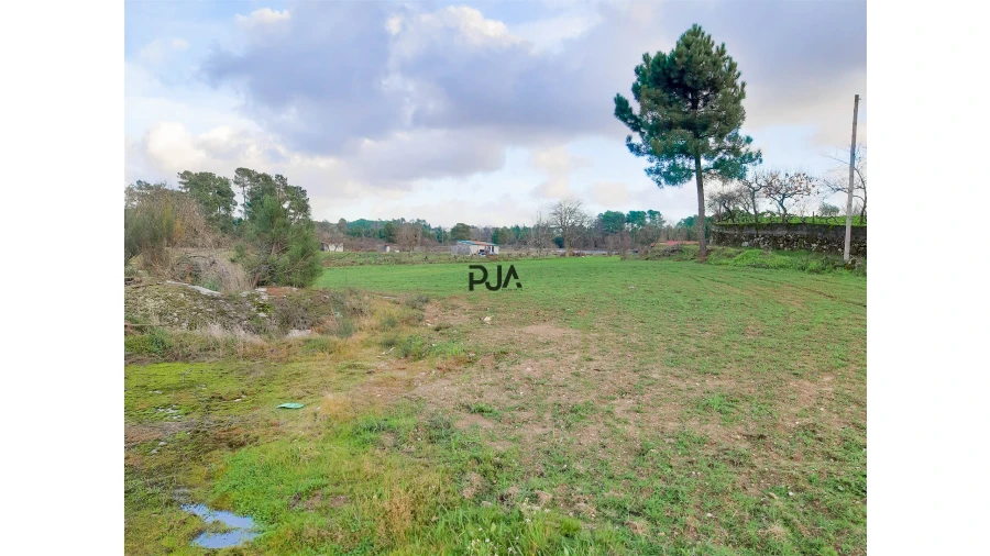 Terreno para Venda em Algodres Foto 4