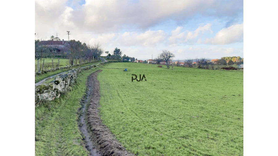 Terreno para Venda em Algodres Foto 3