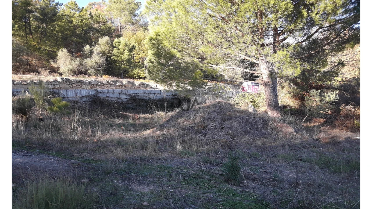 Terreno para Venda em Fornos de Algodres Foto 3