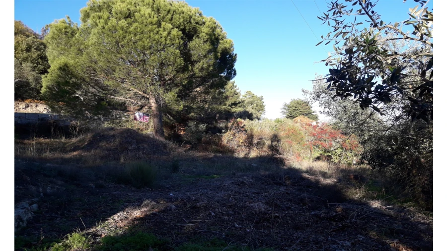 Terreno para Venda em Fornos de Algodres Foto 2