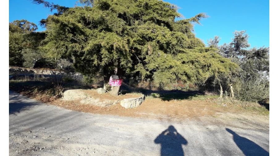 Terreno para Venda em Fornos de Algodres Foto 1