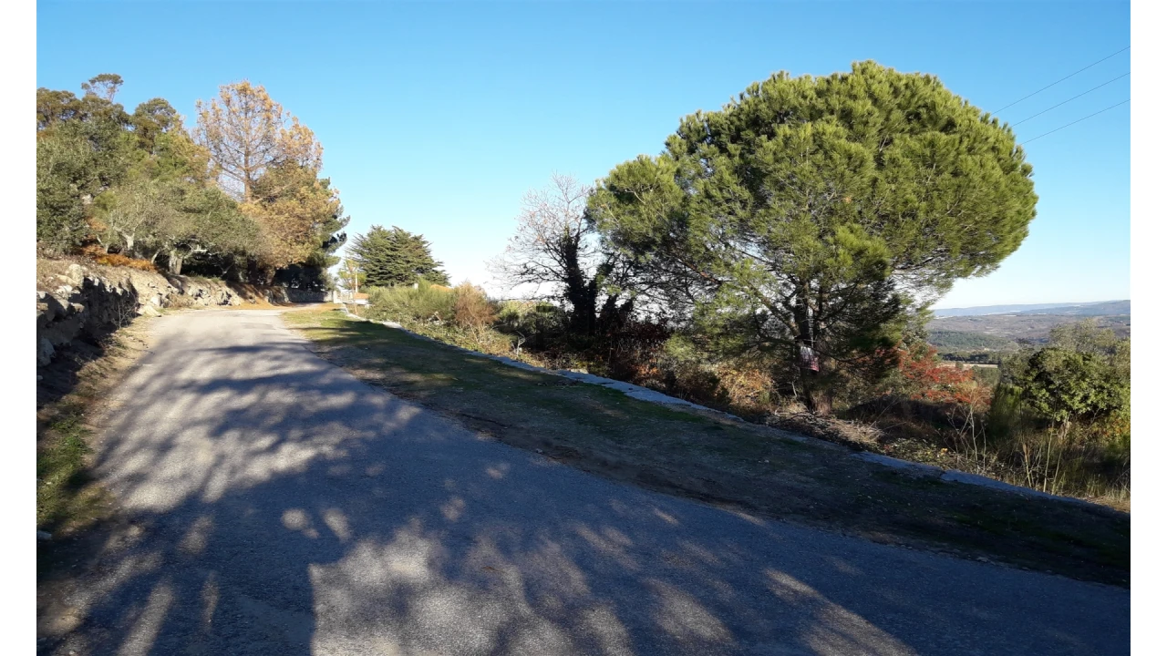 Terreno para Venda em Fornos de Algodres Foto 4