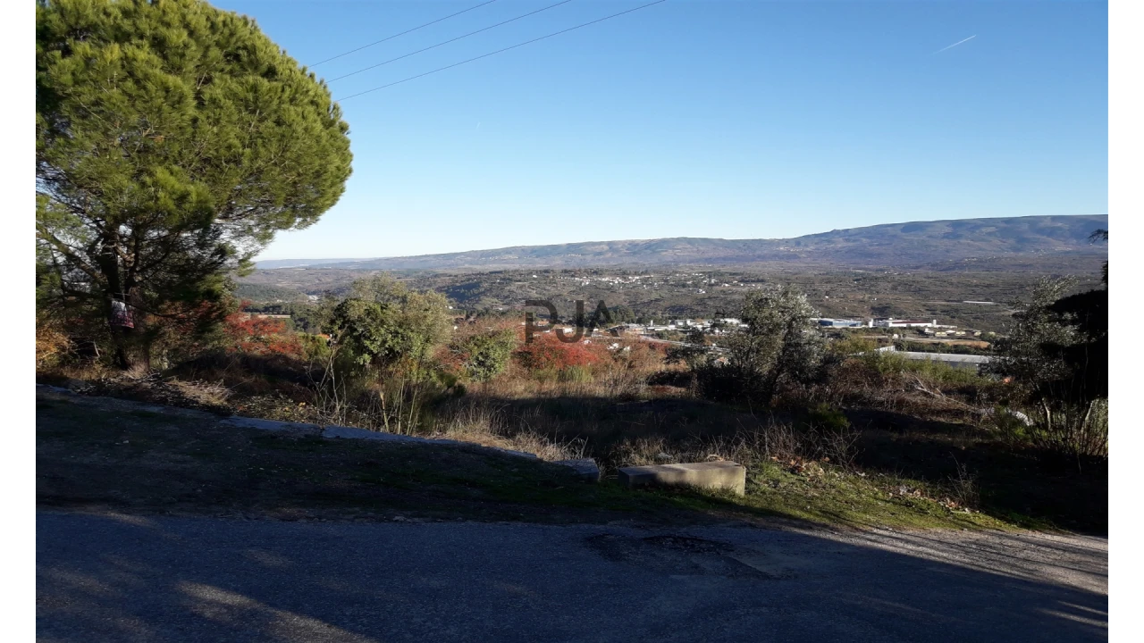Terreno para Venda em Fornos de Algodres Foto 5