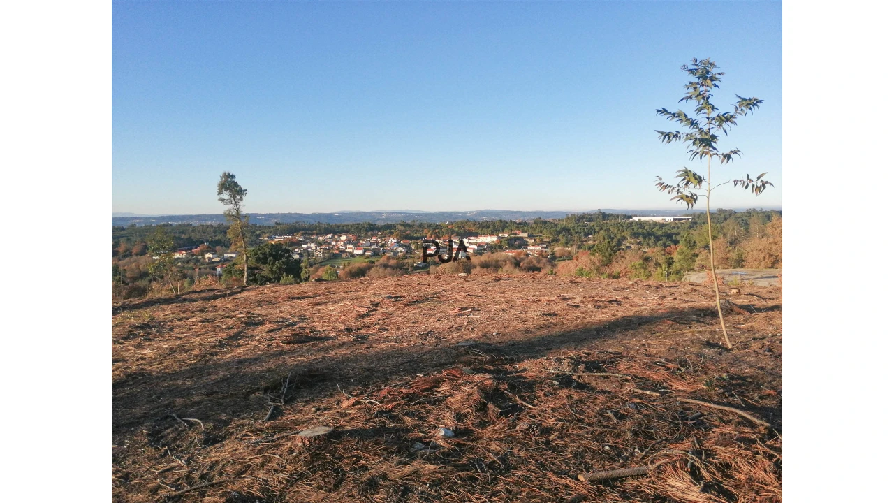 Terreno Comércio / Armazém para Venda em Mangualde, Mesquitela e Cunha Alta Foto 5