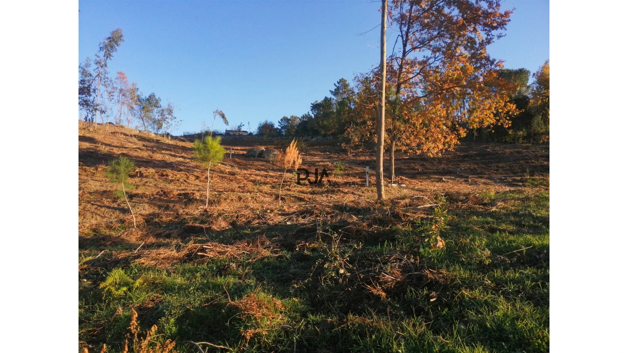 Terreno Comércio / Armazém para Venda em Mangualde, Mesquitela e Cunha Alta Foto 3