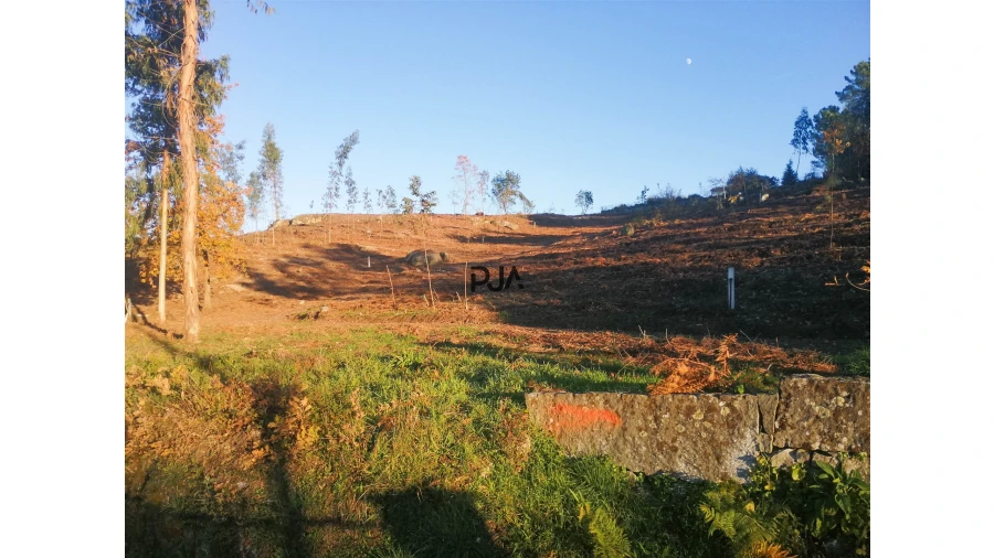 Terreno Comércio / Armazém para Venda em Mangualde, Mesquitela e Cunha Alta Foto 4