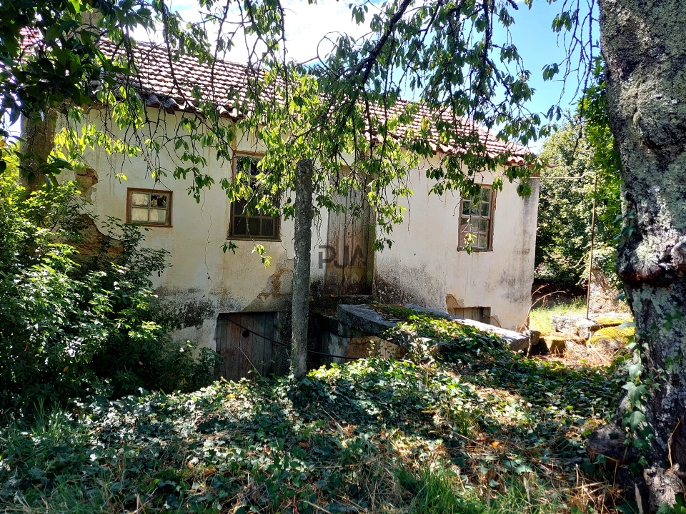 Quinta T4 para Venda em Rio de Moinhos Foto 13