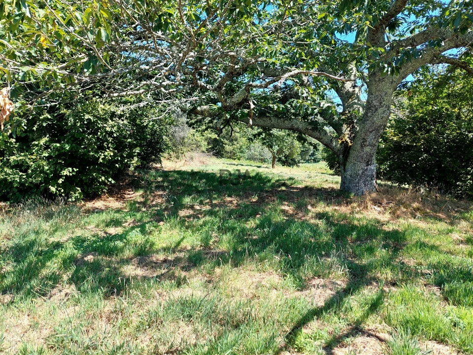 Quinta T4 para Venda em Rio de Moinhos Foto 17