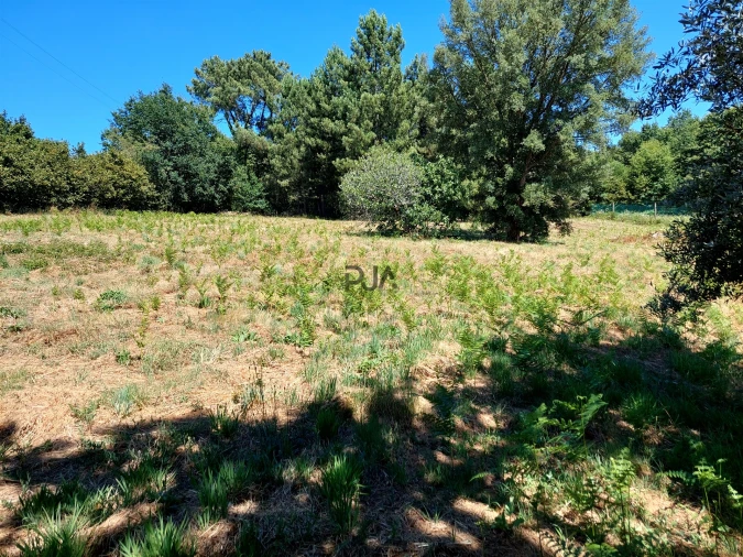 Quinta T4 para Venda em Rio de Moinhos Foto 15