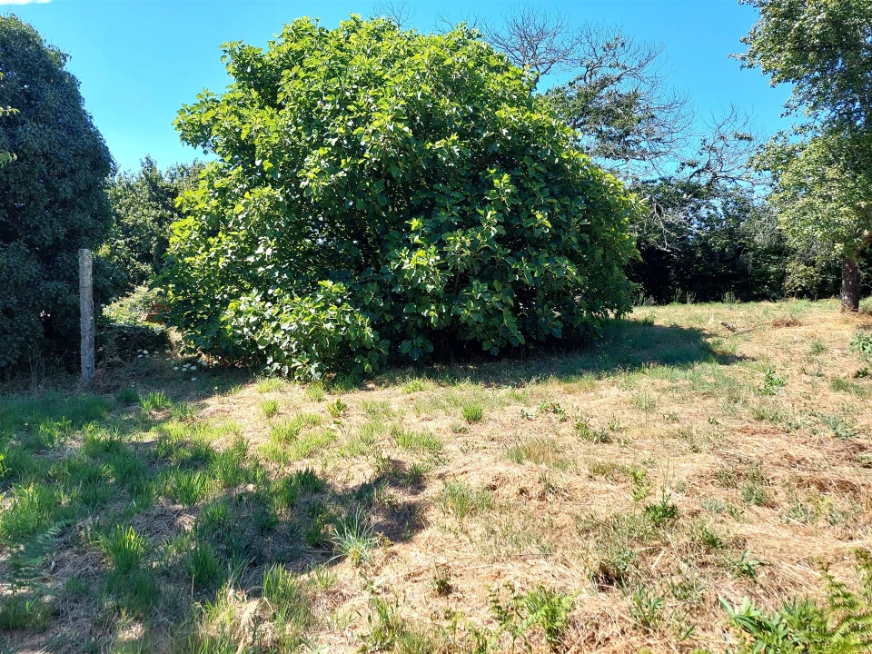 Quinta T4 para Venda em Rio de Moinhos Foto 16