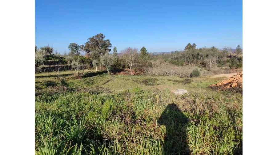 Terreno para Venda em Insua