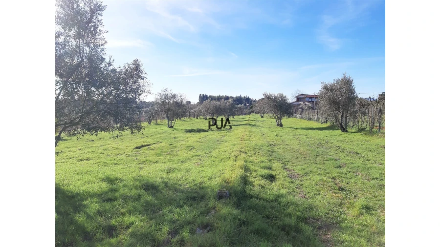 Moradia T2 para Venda em Lajeosa do Dão Foto 4