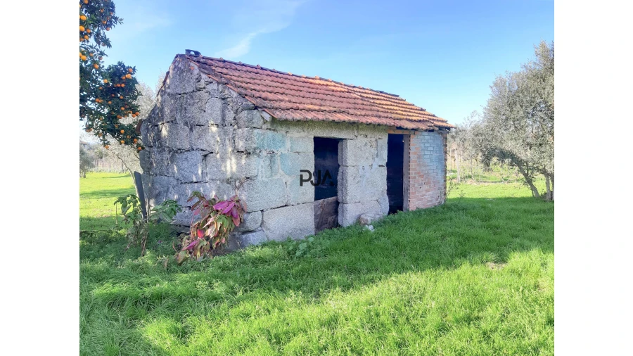 Moradia T2 para Venda em Lajeosa do Dão Foto 15