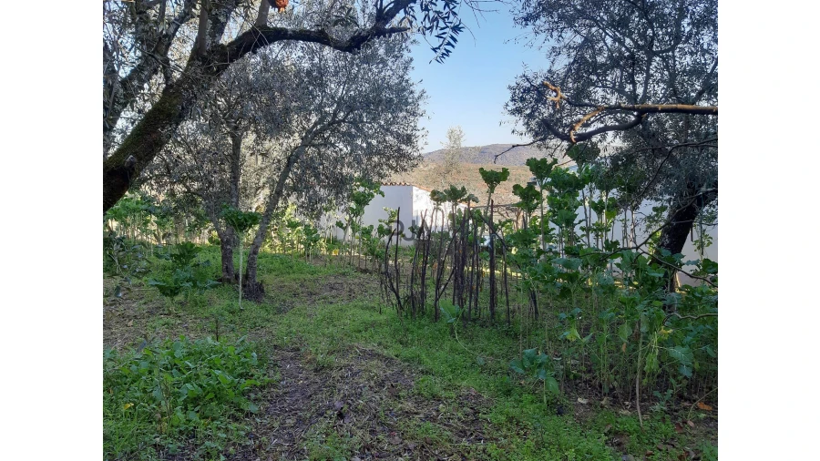 Moradia T2 para Venda em Sobral Pichorro e Fuinhas Foto 15