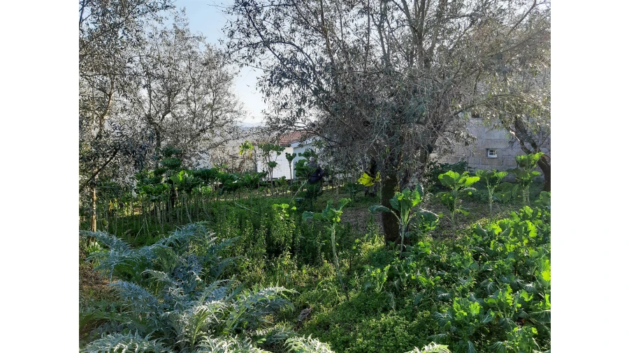 Moradia T2 para Venda em Sobral Pichorro e Fuinhas Foto 14