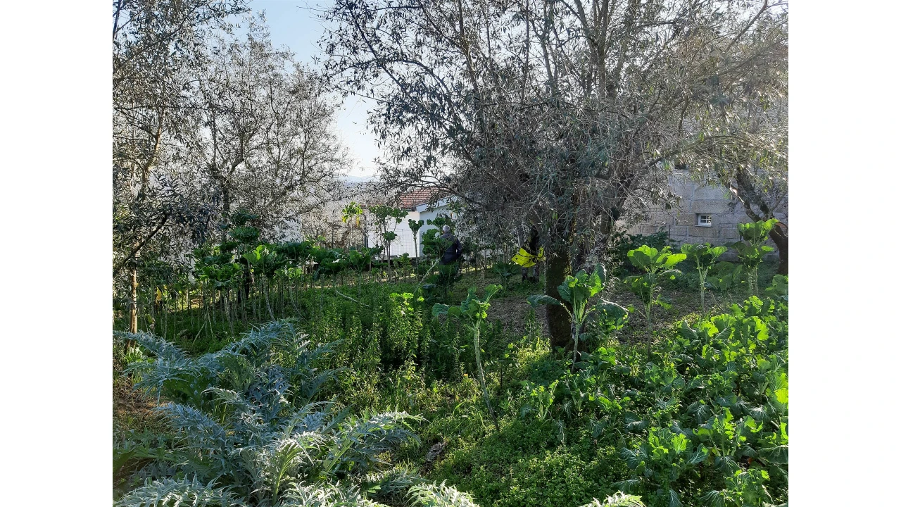 Moradia T2 para Venda em Sobral Pichorro e Fuinhas Foto 14