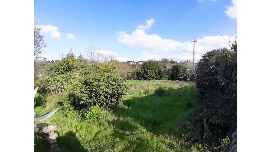 Terreno Misto para Venda em Romãs, Decermilo e Vila Longa Foto 3