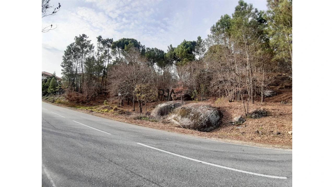 Terreno para Venda em Faíl e Vila Chã de Sá Foto 1