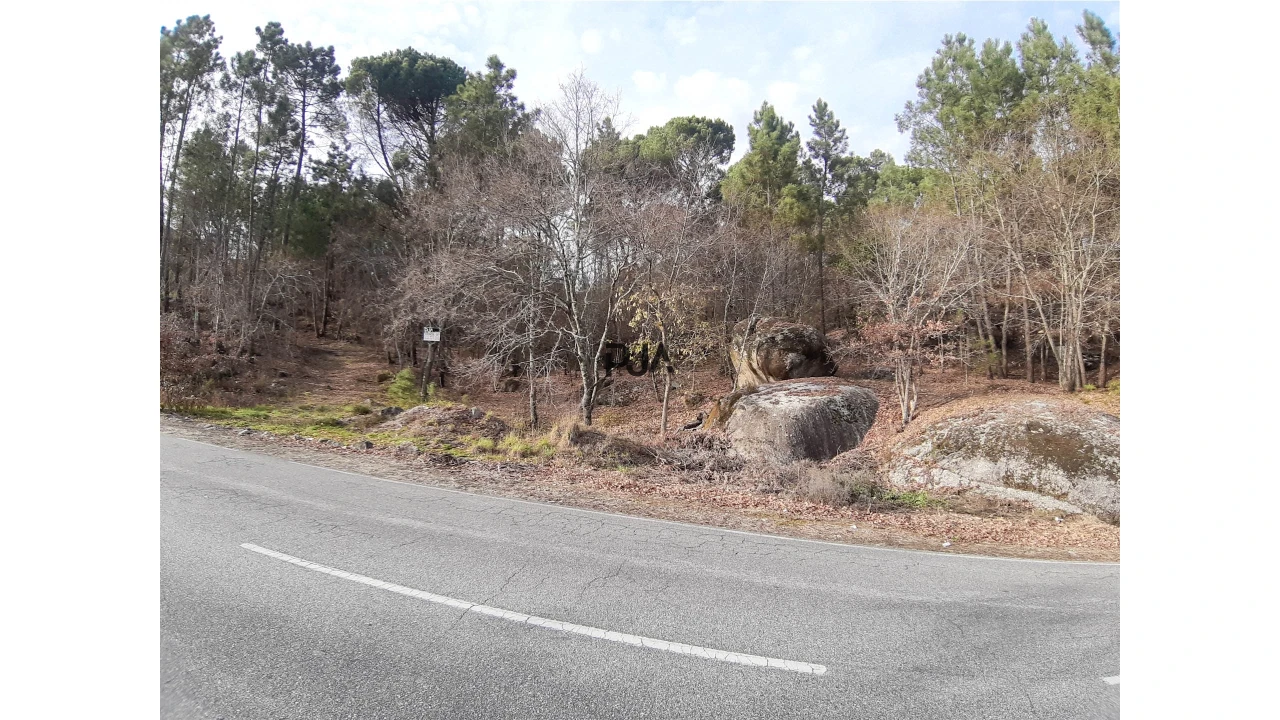 Terreno para Venda em Faíl e Vila Chã de Sá Foto 4