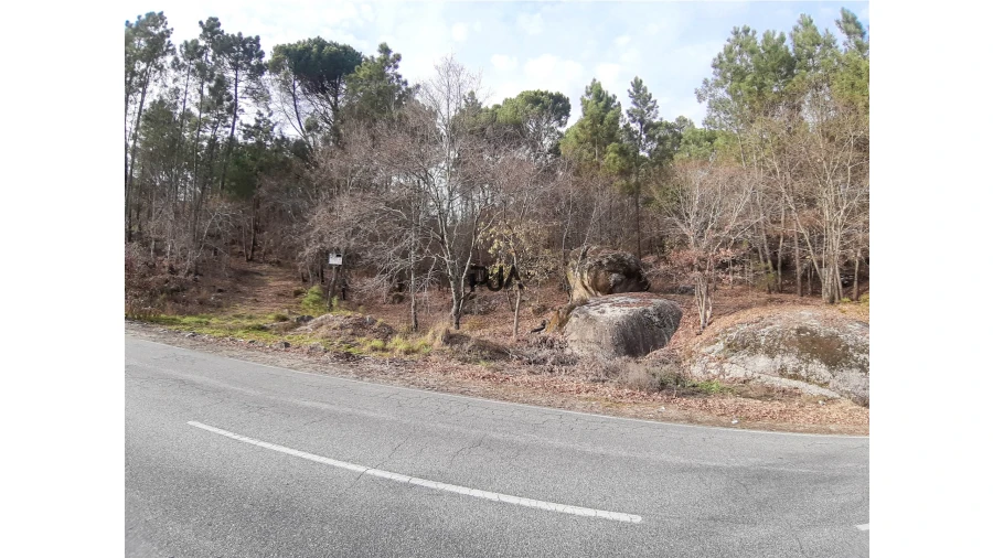 Terreno para Venda em Faíl e Vila Chã de Sá Foto 4