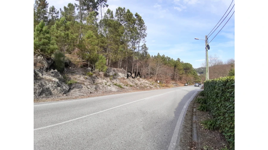 Terreno para Venda em Faíl e Vila Chã de Sá Foto 3