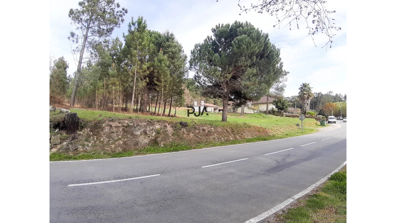 Terreno Agricola ou Rústico para Venda em São Pedro de France Foto 2