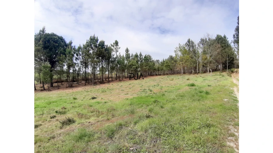 Terreno Agricola ou Rústico para Venda em São Pedro de France Foto 6