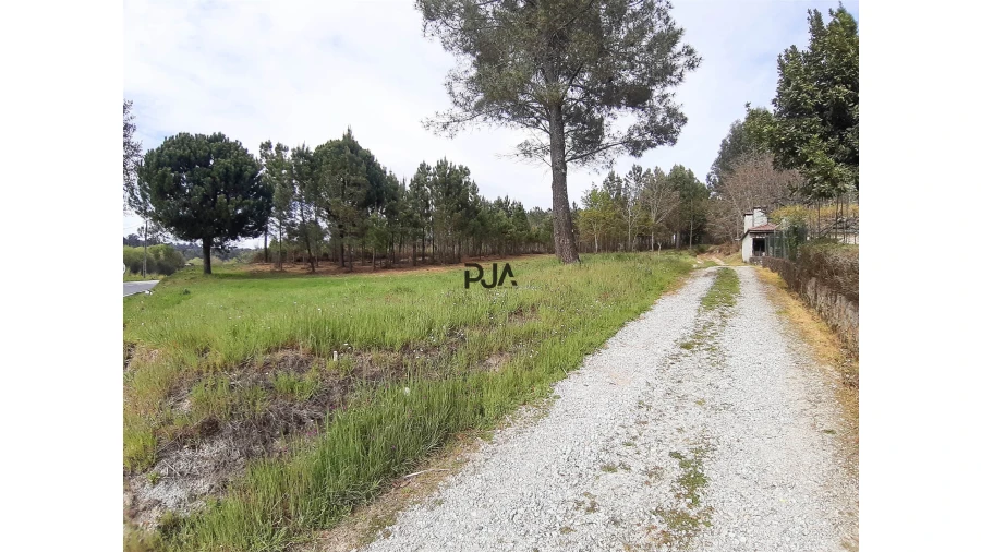Terreno Agricola ou Rústico para Venda em São Pedro de France Foto 5