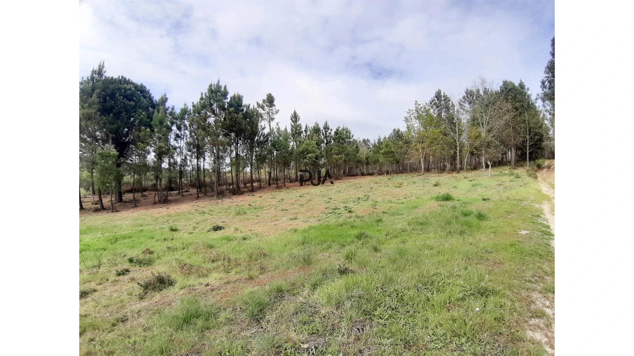 Terreno Agricola ou Rústico para Venda em São Pedro de France Foto 6