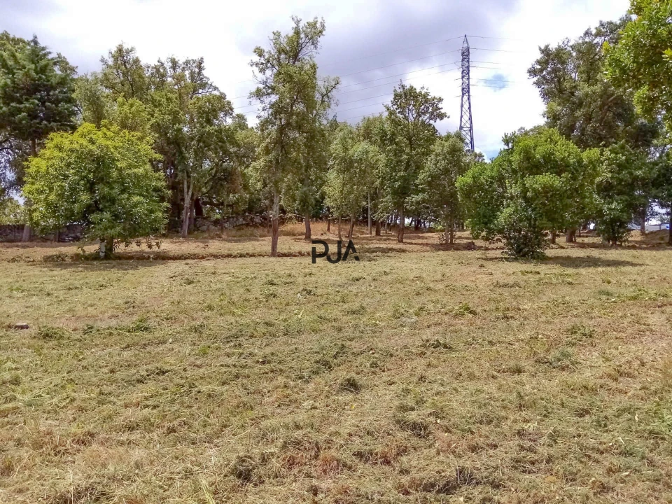 Terreno Comércio / Armazém para Venda em Mangualde, Mesquitela e Cunha Alta Foto 5