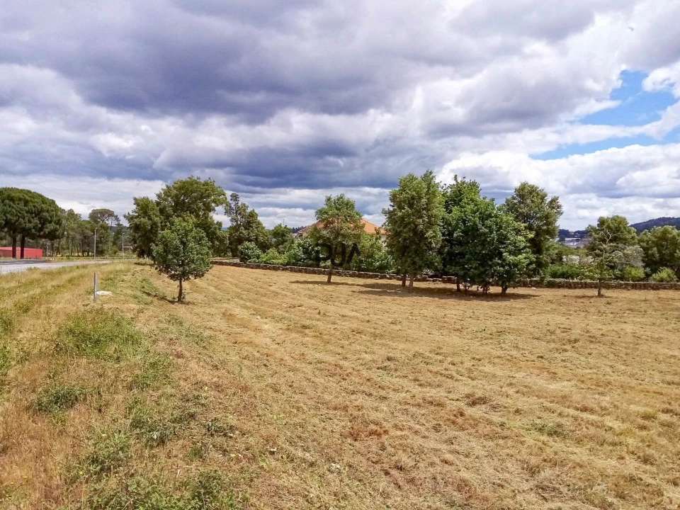 Terreno Comércio / Armazém para Venda em Mangualde, Mesquitela e Cunha Alta Foto 6
