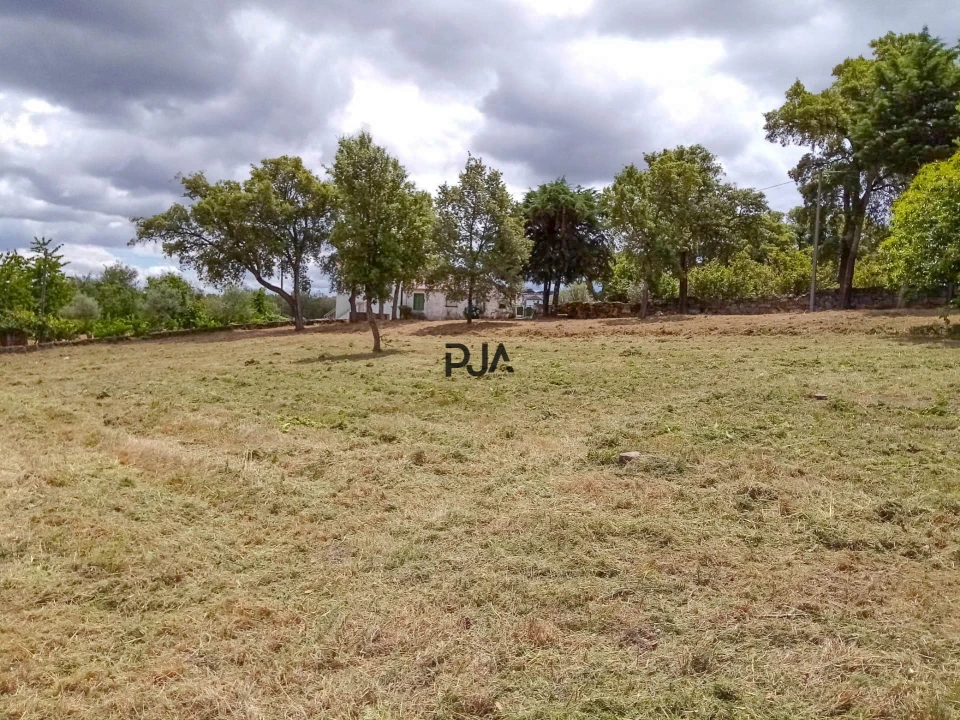 Terreno Comércio / Armazém para Venda em Mangualde, Mesquitela e Cunha Alta Foto 4
