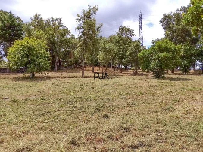 Terreno Comércio / Armazém para Venda em Mangualde, Mesquitela e Cunha Alta Foto 5