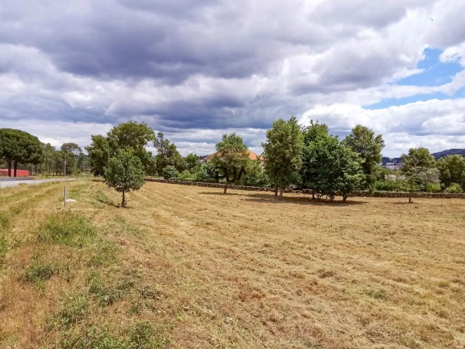 Terreno Comércio / Armazém para Venda em Mangualde, Mesquitela e Cunha Alta Foto 6