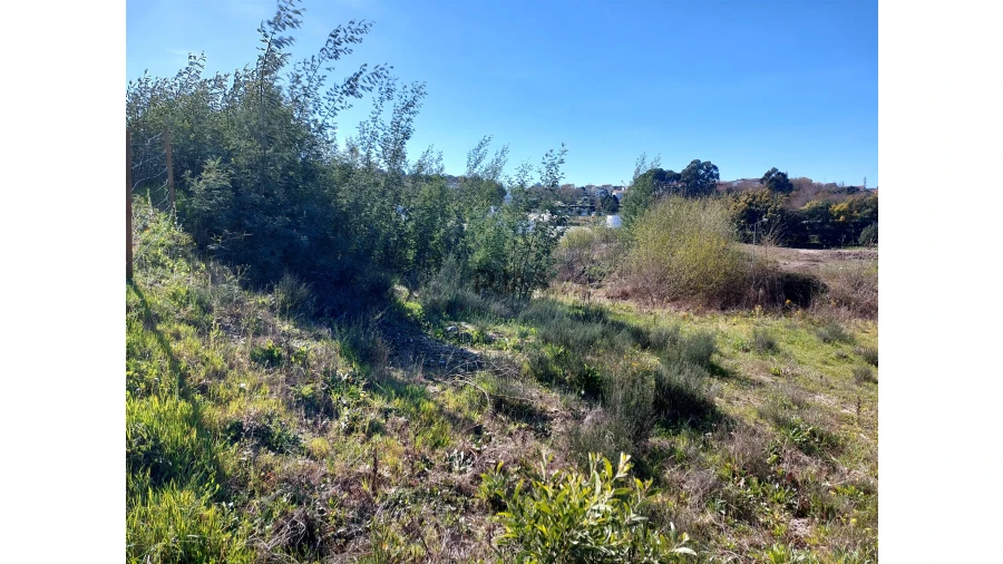 Terreno para Venda em Mangualde, Mesquitela e Cunha Alta Foto 3