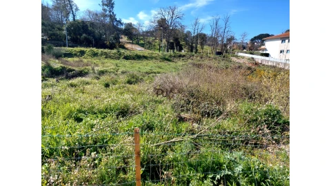 Terreno para Venda em Mangualde, Mesquitela e Cunha Alta