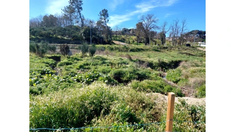 Terreno para Venda em Mangualde, Mesquitela e Cunha Alta