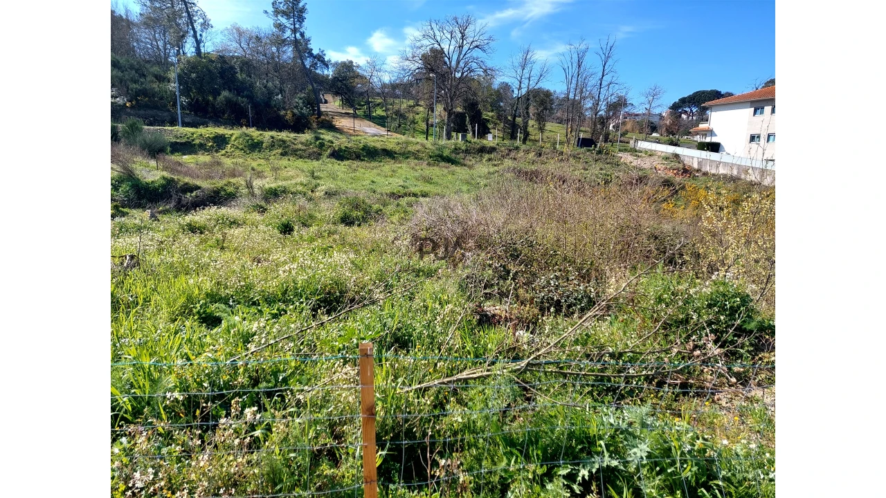 Terreno para Venda em Mangualde, Mesquitela e Cunha Alta Foto 5
