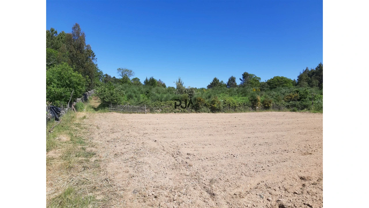 Quinta T0 para Venda em Algodres Foto 8