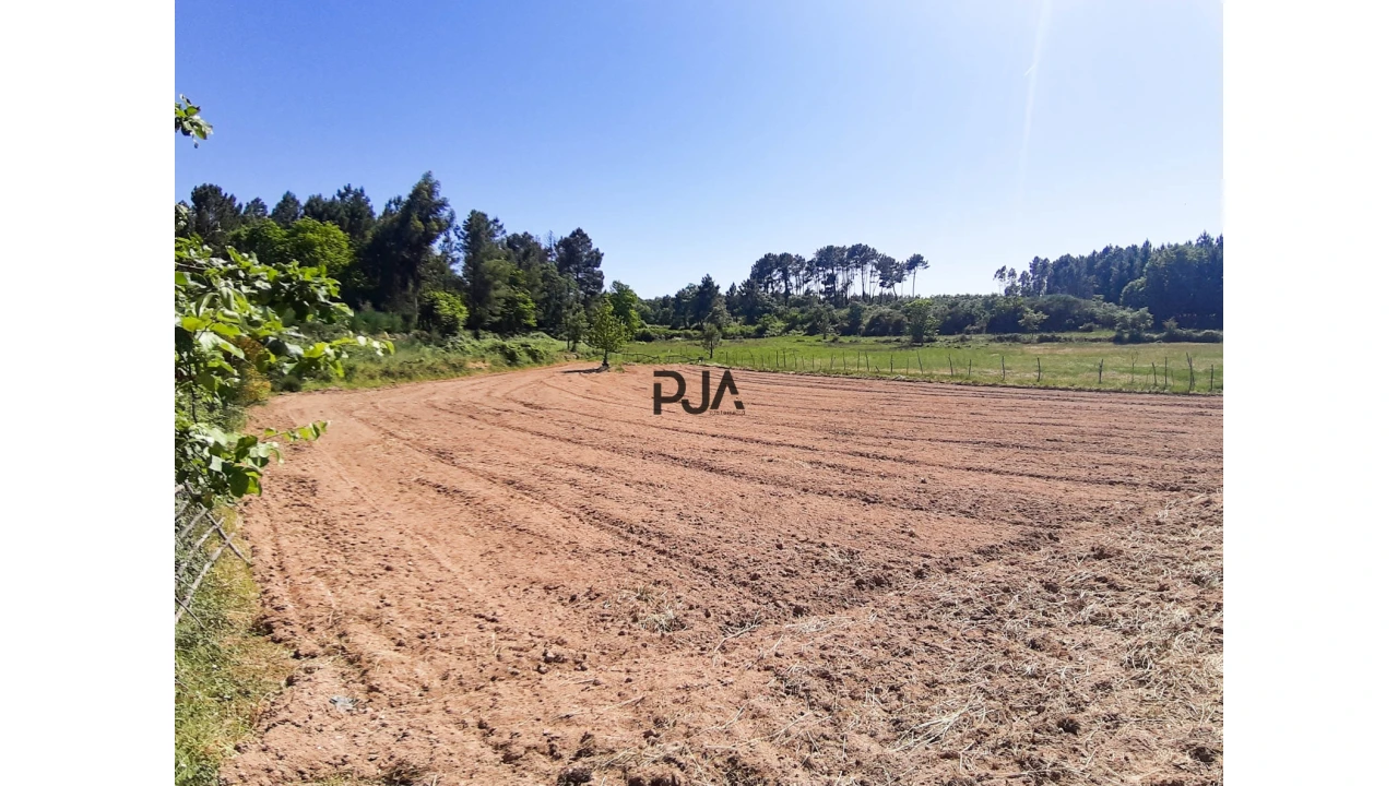 Quinta T0 para Venda em Algodres Foto 7